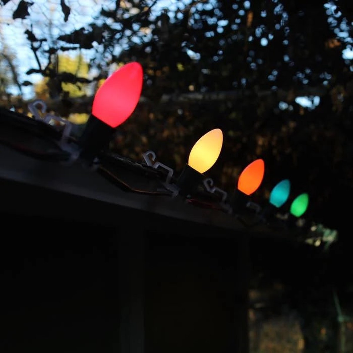 Set of 25 Classic C9 LED Lights