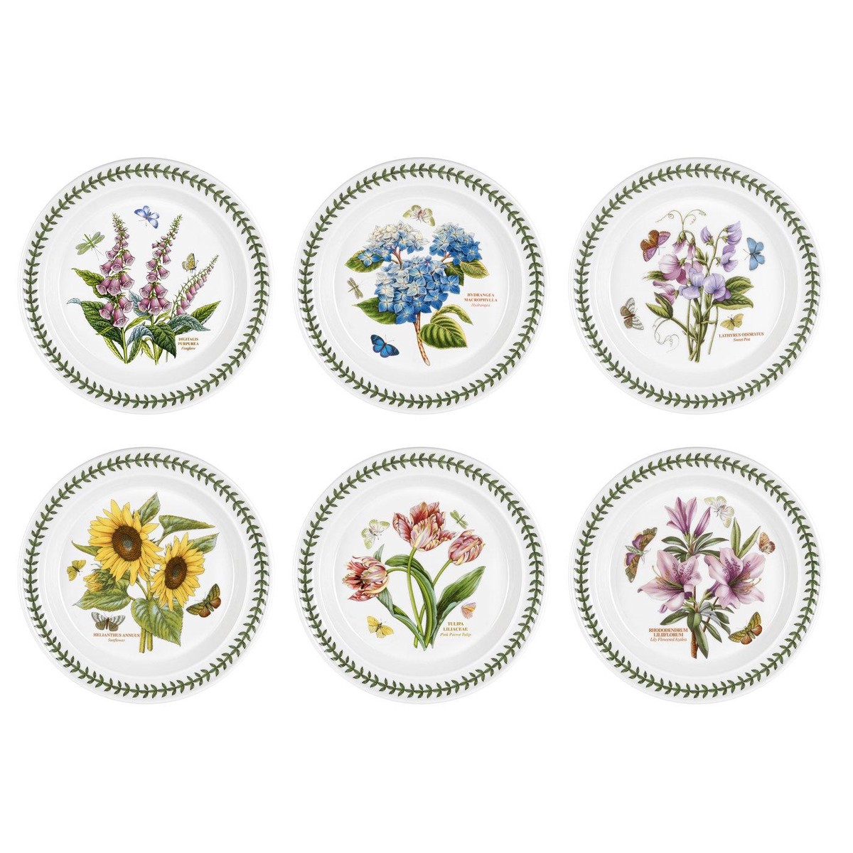 Portmeirion Botanic Garden Dinner Plate