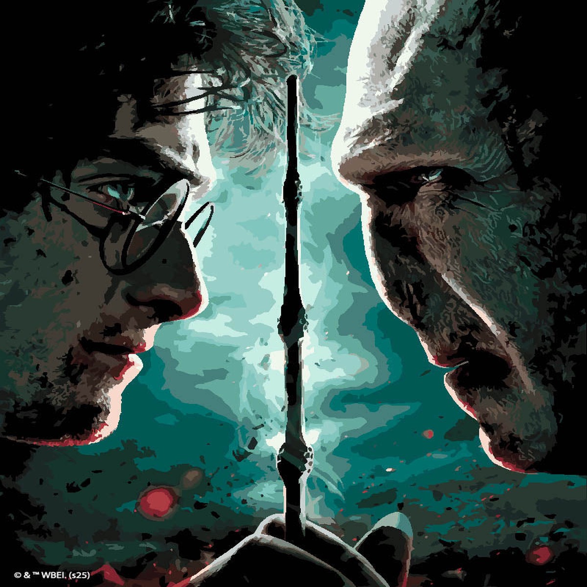 Harry Potter vs Lord Voldemort