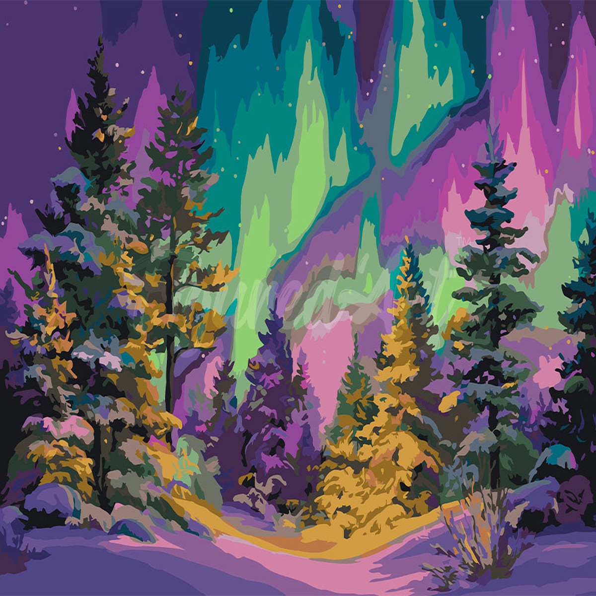 Aurora Forest