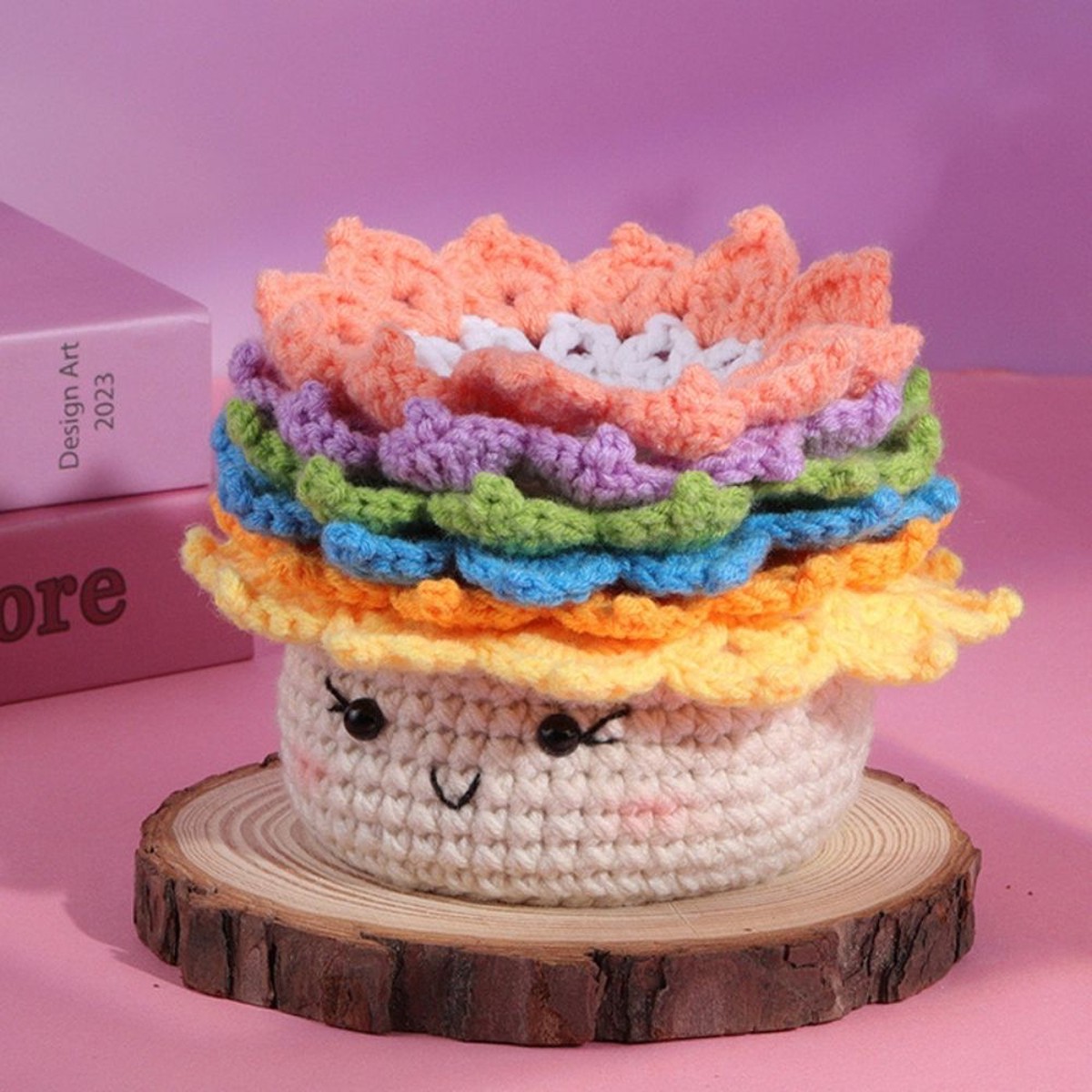 Amigurumi Crochet Kit - Rainbow Succulent