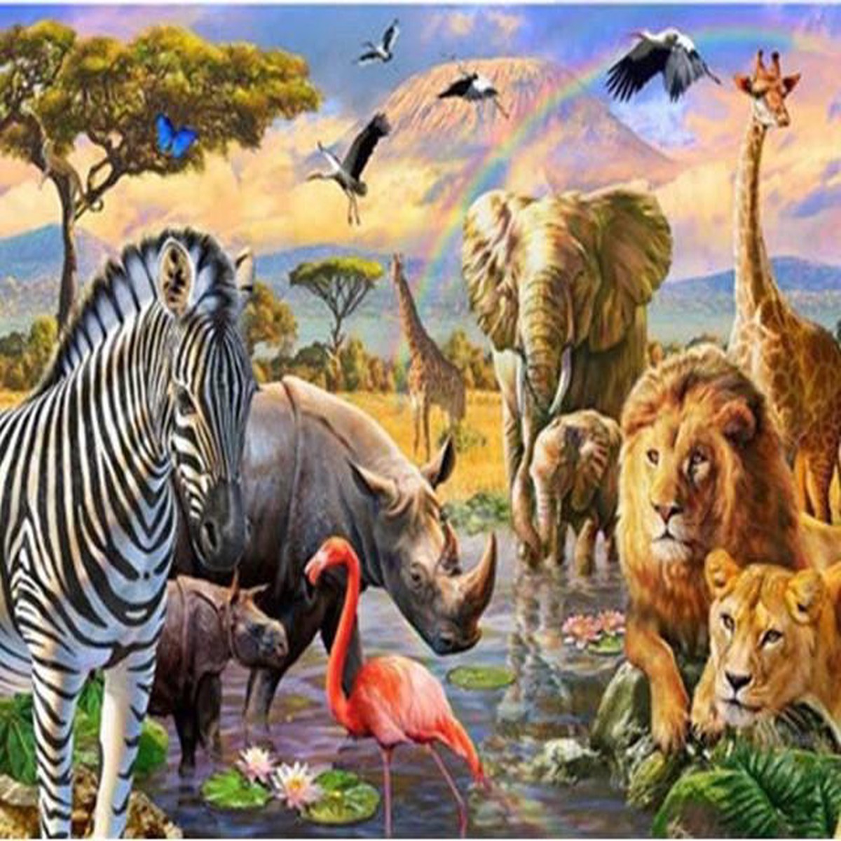 Animals from Africa