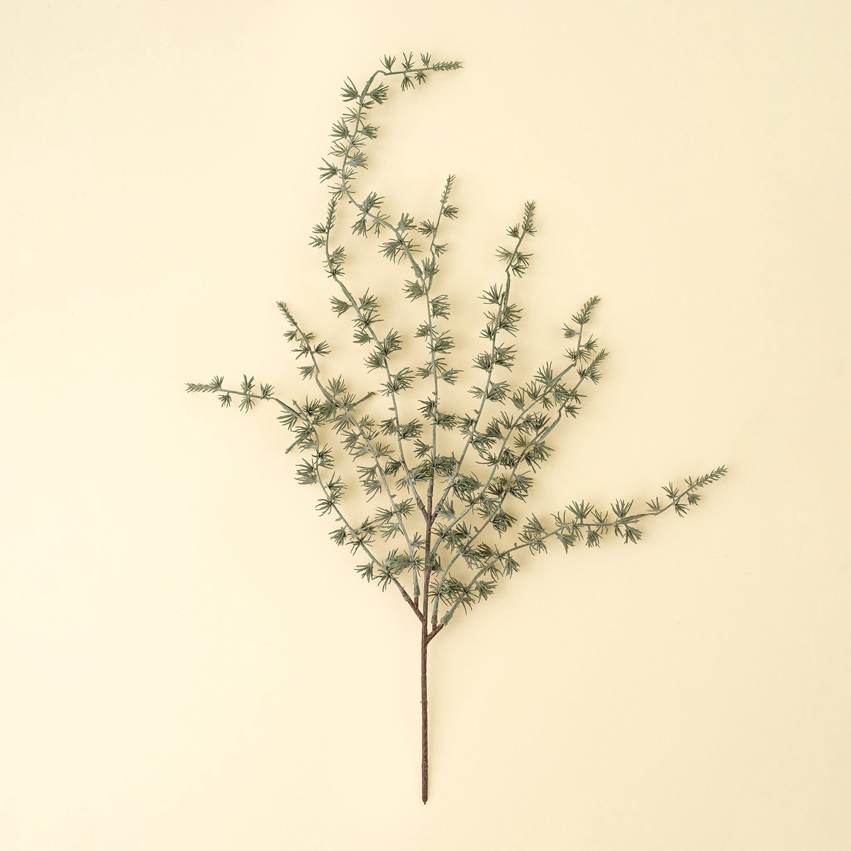Frosted Juniper Sprig