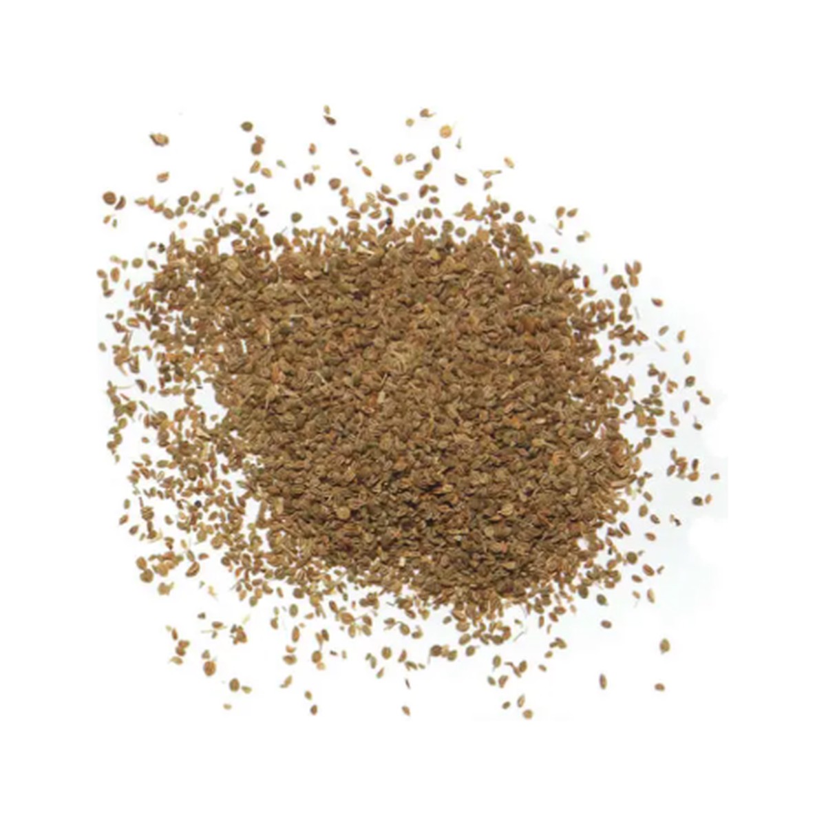 Celery seeds (India)