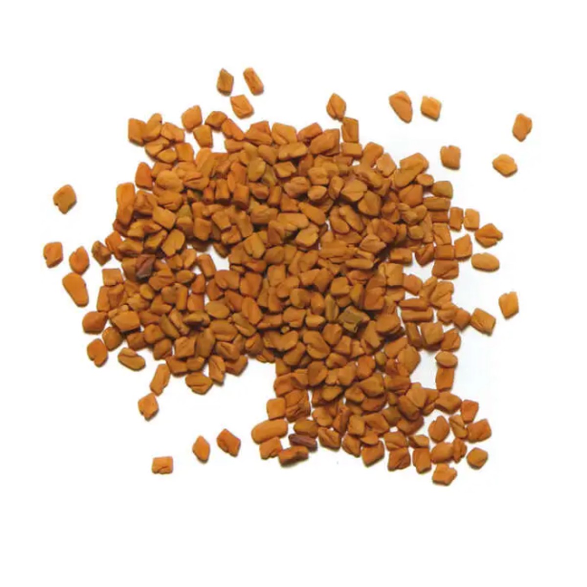 Fenugreek