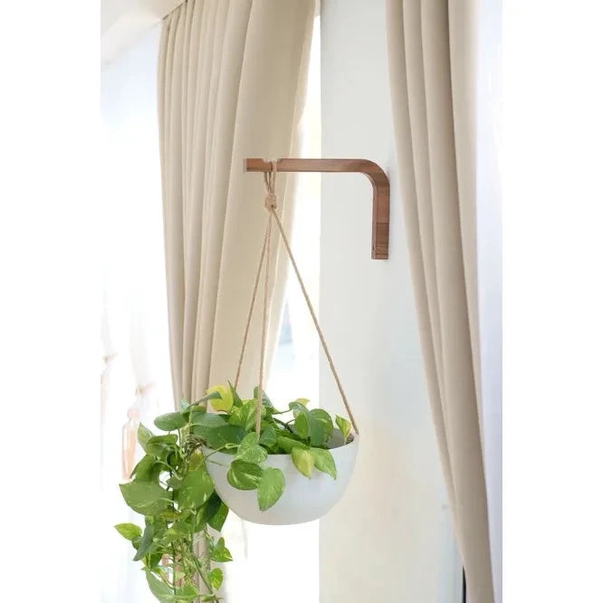 Walnut Wall Hanger for Plants