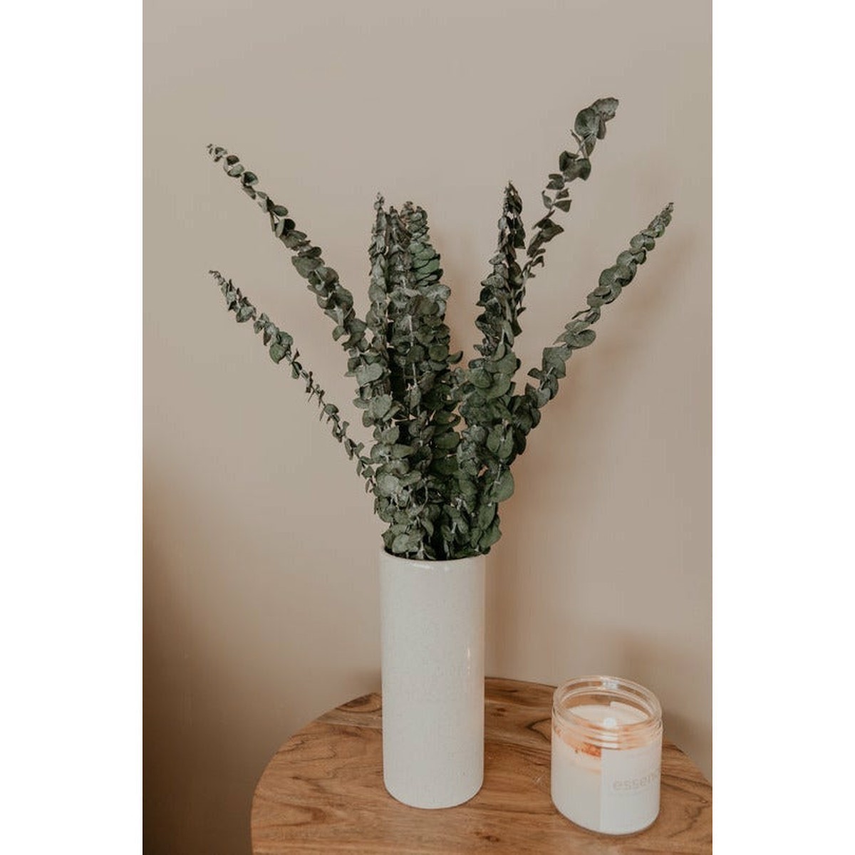 Preserved Eucalyptus
