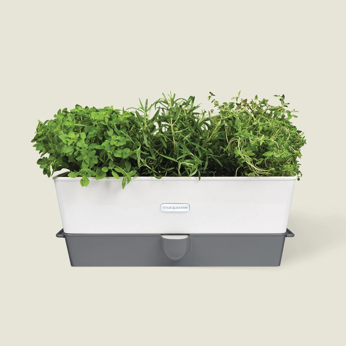 CM Burwell Self-Watering Herb Keeper